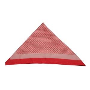 Pink Haveli Pocket Square - Exquisite Craftsmanship | Jaipurio