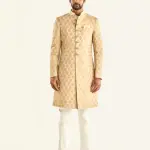 The Bikaner Achkan (S-XL) | Royal Rajasthani Heritage Wear | Traditional Desert Collection by Jaipurio