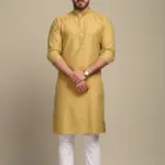 Golden Booti Pattern Royal Embroidered Kurta for Men | Festive Ethnic Wear