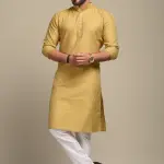 Golden Booti Pattern Royal Embroidered Kurta for Men | Festive Ethnic Wear